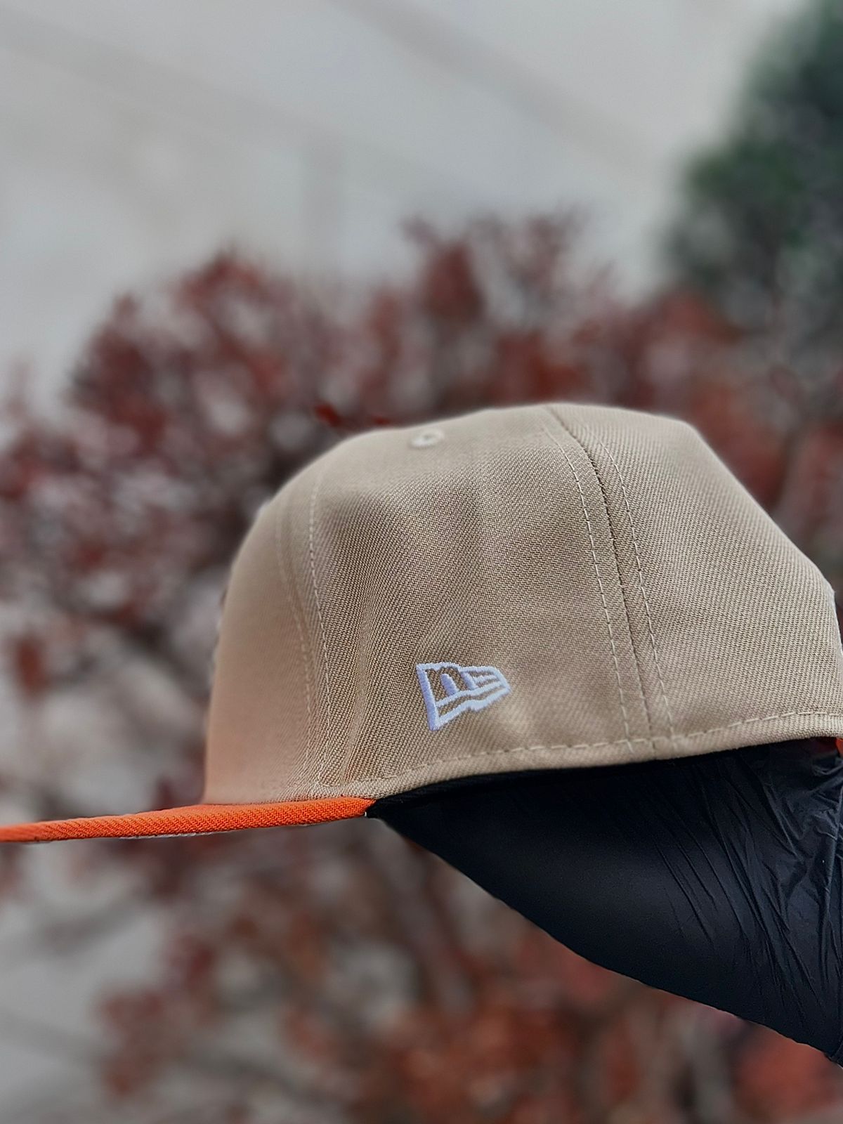 Los Angeles Dodgers Fall Landscape 9FIFTY Snapback. (Snapback cap).